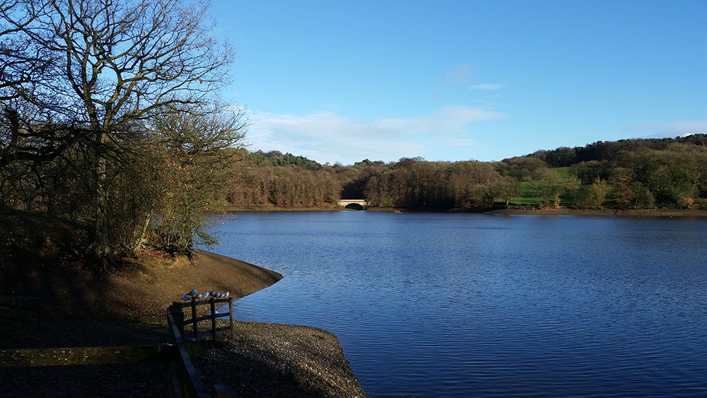 Fenton and District Angling Society