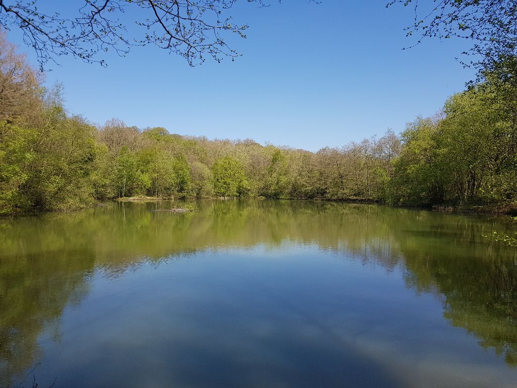 Consall pools and River Churnet.  Fishing Waters in Stoke On Trent and Staffordshire
